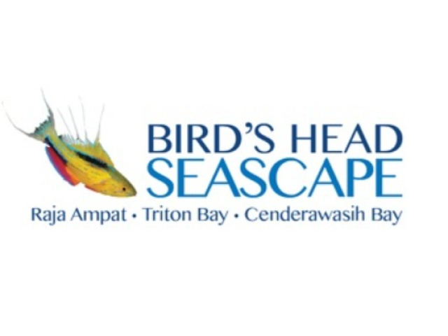 Bild der Website Bird's Head Seascape